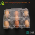 Clear transparent plastic egg container for sale